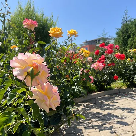 Sun Wave Apartment *