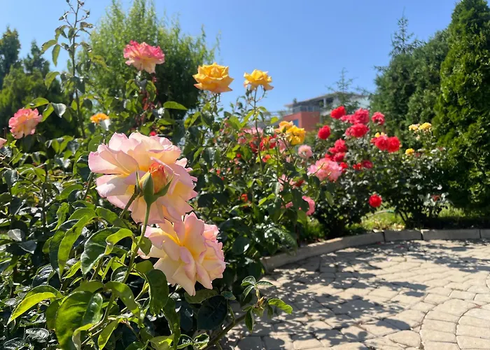 Sun Wave Апартаменты *